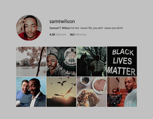 karenscastle:my holy trinity + fake instagrams