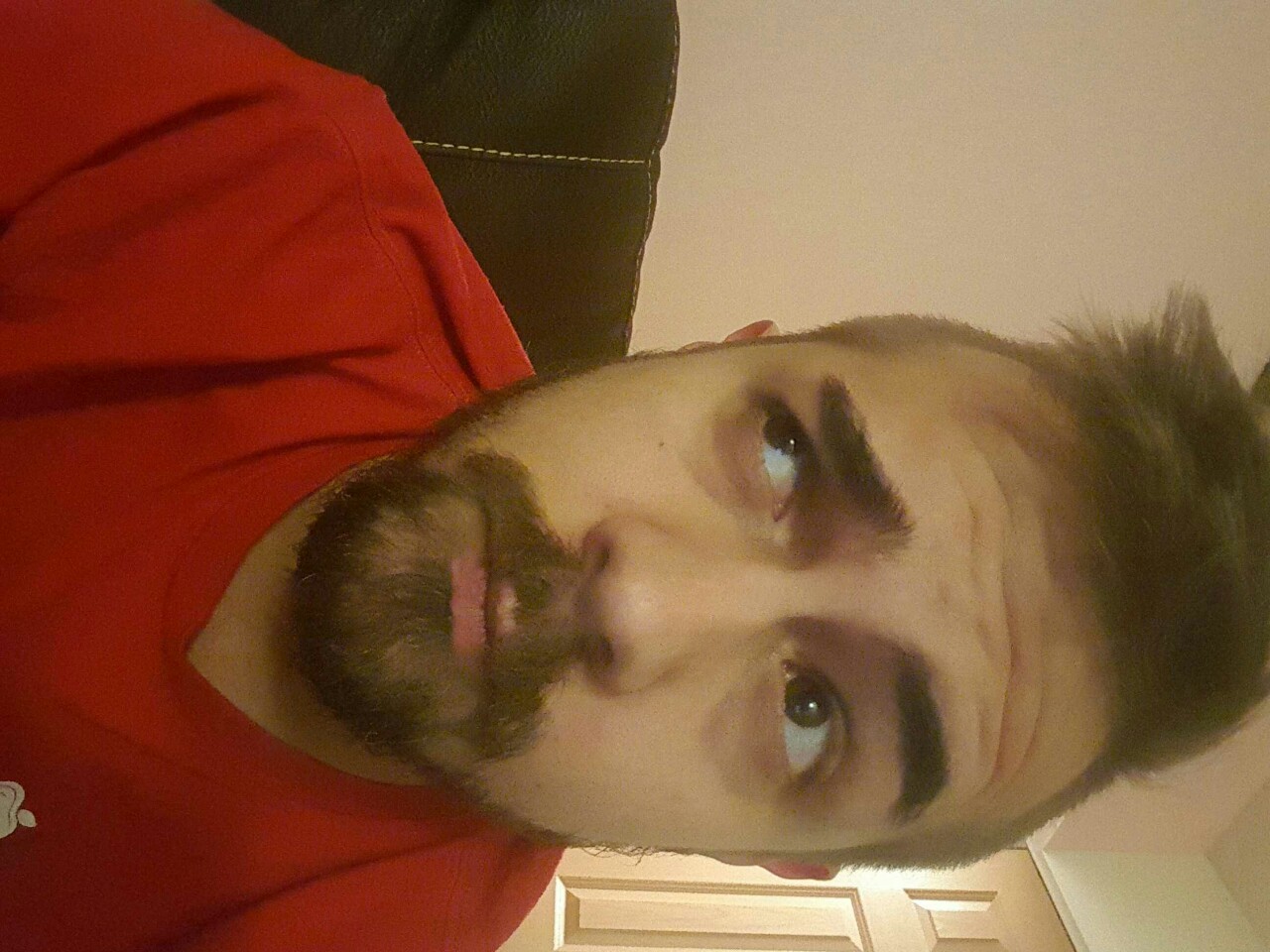 deadlyflashesofgreen:  No shave november is over but im keeping the beard. 