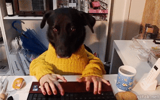 when you're lurking and find some shit so you gotta let your friend know asap