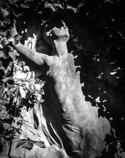 photoencounters:  Cimetière du Père-Lachaise.