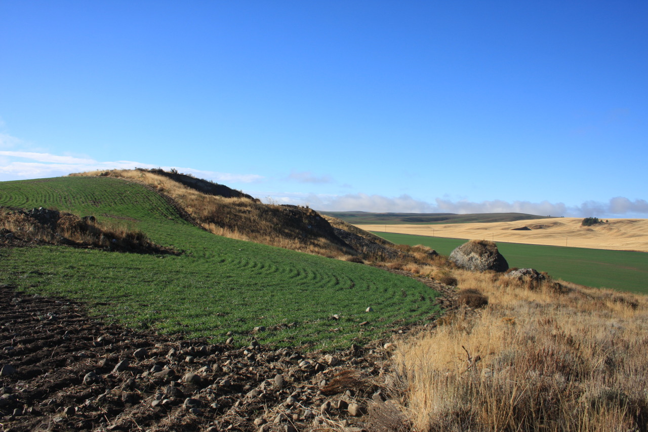 USFWS Pacific Region — North American Model of Wildlife