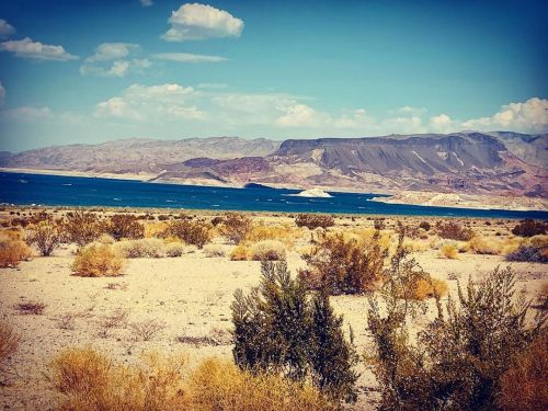 Sex Lake Mead, NV #lakemead  (at Boulder Beach, pictures