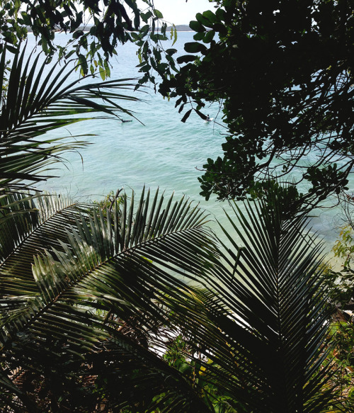 oceaniatropics: Noosa, Queensland, Australia