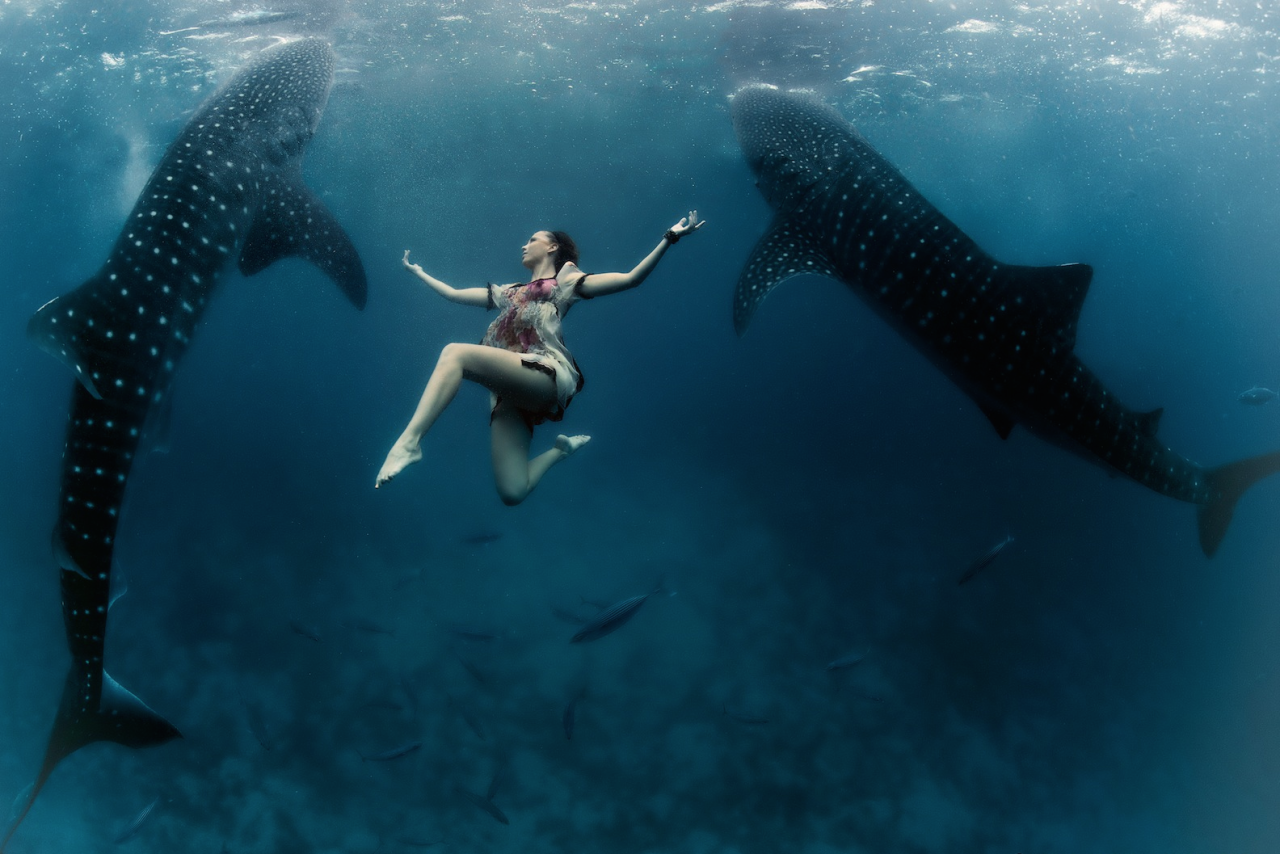 nubbsgalore:  photos by shawn heinrichs in oslob, philippines and isla mujeres,