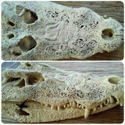 stunningpicture:  Carved skull of an alligator
