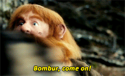 oakenbaggins:  thorin + being protective of the company