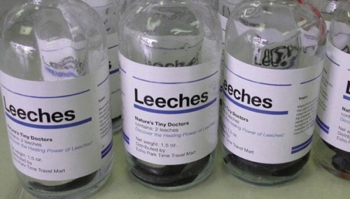 wolfsslut:  sisyphusshrugged:  sisyphusshrugged: NATURE’S TINY DOCTORS   honestly I didn’t even see that on the container I was just going to accept that leeches are nature’s tiny doctors and move on 