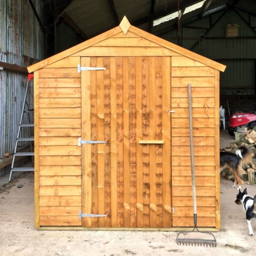 brionymaysmith:Painted a Goose Shed