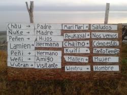 la-nota-musical:  Dedicada a mis lagmienes de La Araucanía, y fuerza a nuestro pueblo mapuche, newen para todos ellos. 