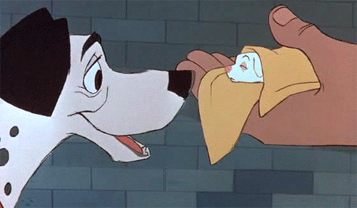 sonrisas-e-ilusionesfalsas:  *OOOOOOOOOOOOOO*