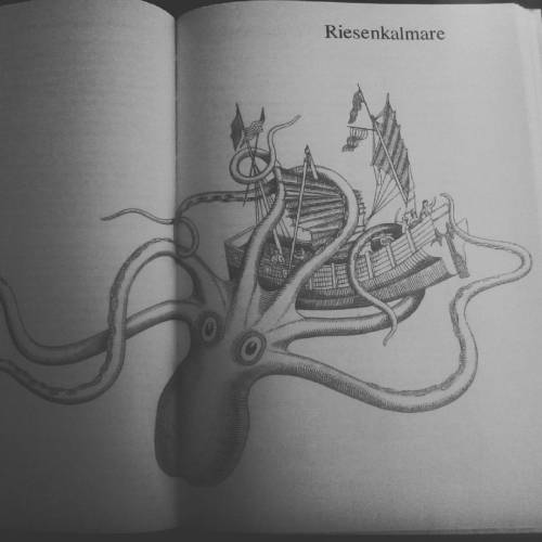 #seamonster #giantsquid #kalmar #engraving