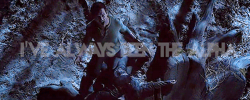 reindeernewt:teen wolf + intense yelling