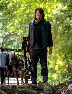 dailytwd: Daryl Dixon in Season 9