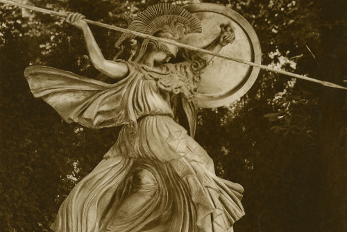 owlprayer:Pallas Athena.