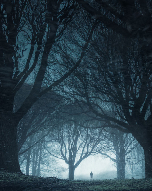 archatlas:   Shapes of Nature Trees surround us with their beauty in this set of photographs captured by Mikko Lagerstedt  in Finland.   