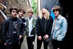 elixars:  the orwells