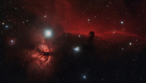 astronomyblog:  NGC 6960 (Western Veil nebula) & Horsehead Nebula and the Flame Nebula  by David