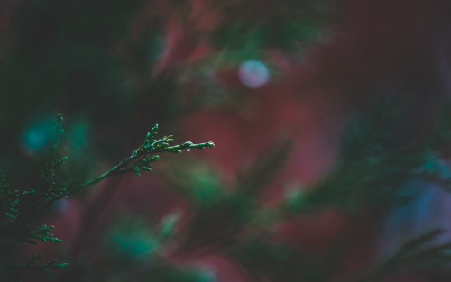 dissonantdays:so why does this still hurt