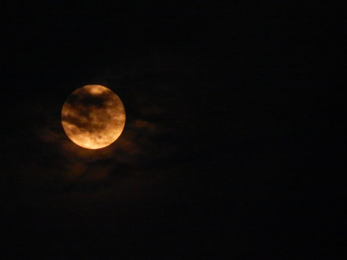fuckyeahphysica:Supermoon Lunar Eclipse.I decided to snap a few pictures of the moon before the big 