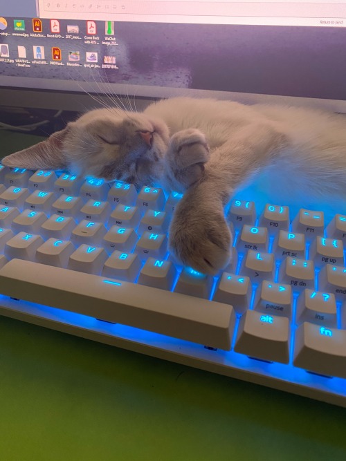 hitmewithcute