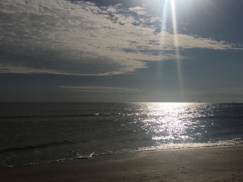 justhavetosaythis:Coffee, beach, dolphins, gators and her. #perfectday