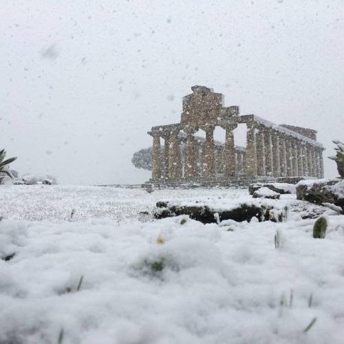 bucciluigi:Paestum 