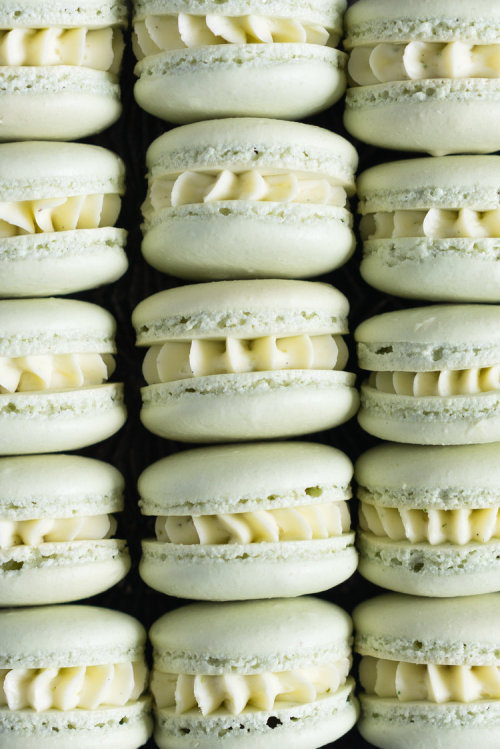 sweetoothgirl:all the macarons please  (recipes 1, 2, 3, 4, 5, 6, 7, 8, 9, 10) YesYesYesYesYesY