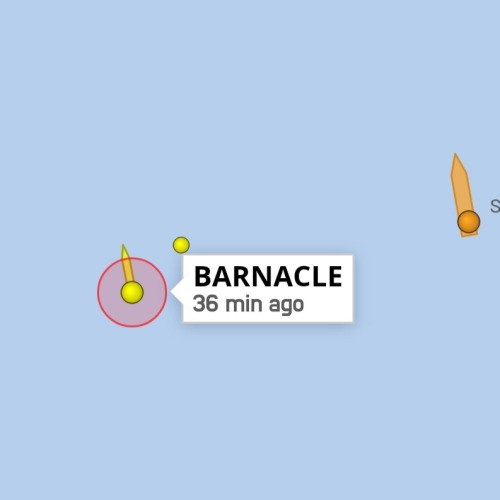 Some Nice Boats 