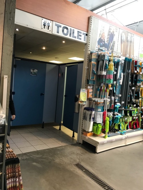 Restroom at a local garden center in lokeren, interflower.