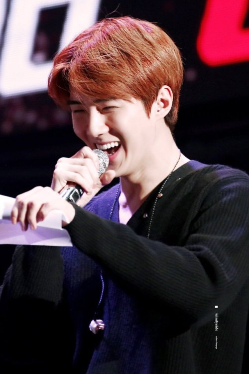 WindySide | do not edit (1,2)
