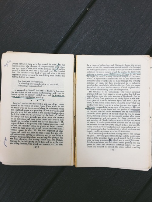 englishgradinrepair:a few of my most prized possessions – my lit teacher’s copy of portrait, which h