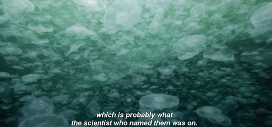 thedrunkhermit:  toxicglooo:  sevensuptic:  sevensuptic:   sevensuptic:  nature documentary but the narration is just weird enough to make you question it  “Some fish can walk out of water, so remember that next time.”   “You might think you’re