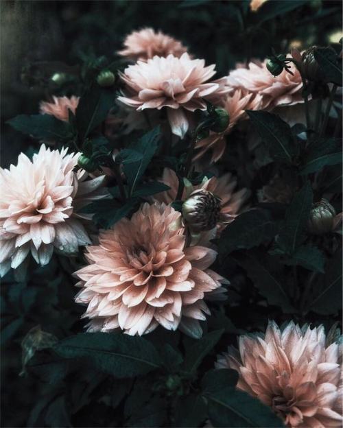 by Mai Yanagisawa