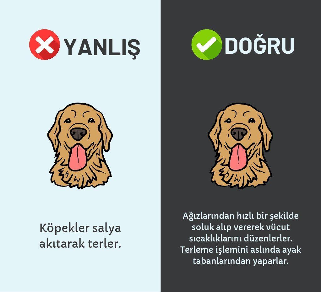 Kaynak