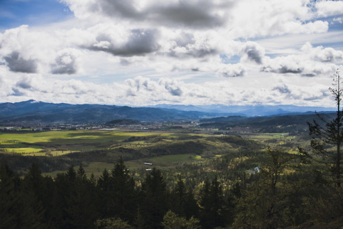 Eugene, Oregon // April 2018IG: http://instagram.com/stephenparkhumWeb: http://thewilderness-studios