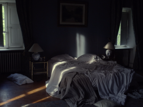 alternativecandidate: The Blue Room (2014) “Mr. Amalric, who directed this dark, delectable, shivery