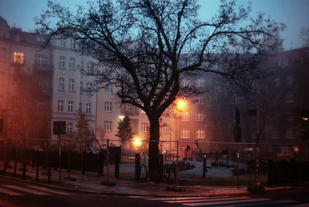 foxmouth: Poland, 2014 | by Erik Witsoe