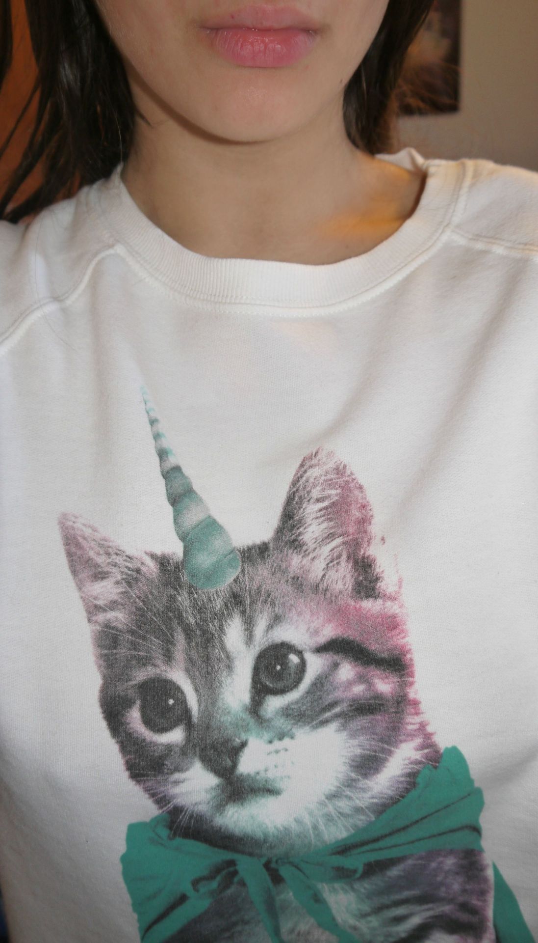 titsworldorder:  Unicorn Cat