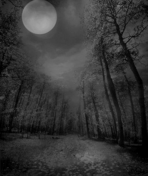 symphony-of-the-damned:  spells-of-life:  Magic Moon; other-wordly      