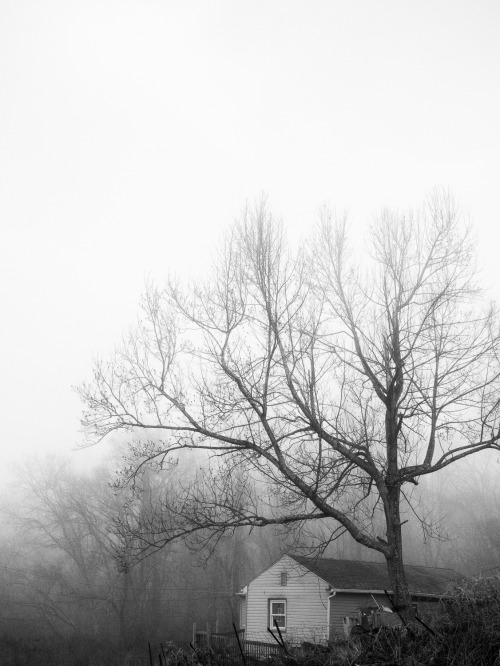 dochuff:Intermission: One Foggy December Day in the MountainsA holiday trip back home to West Virgin