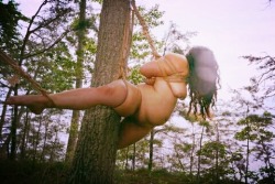 fatbdsm: Tree suspension with my former Dominant.