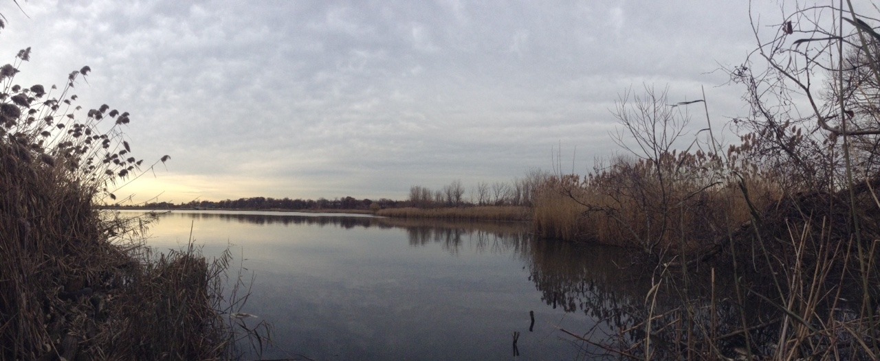 saiyak:  willow lake, nyc