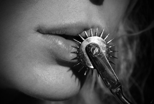 XXX buggybee:Buggy Bee’s Theme Thursday “Wartenberg photo