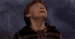 harrypottzr:    Everyone expects me to do as well as the others, but if I do, it’s no big deal, because they did it first.   