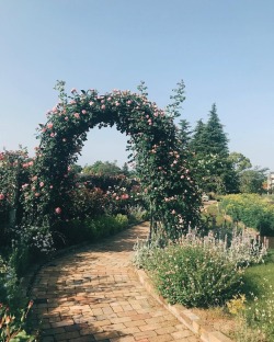 andantegrazioso:  Hamamatsu Flower Park 