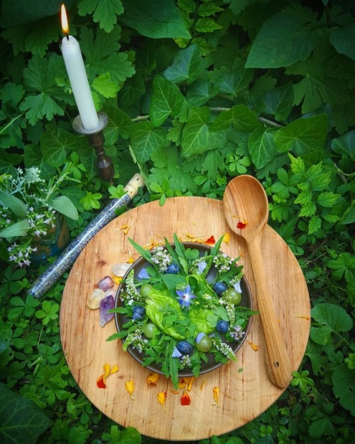 #faerie #breakfast #healthyfood #salad #greenfood #fairypicnic #fairytale #organicfood #natural #veg