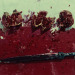 zegalba:The Color of Pomegranates (1969).                              Directed By: