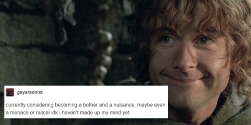 penny-anna:pippin took + text posts(sources: 1 2 3 4 5 6 7 8)