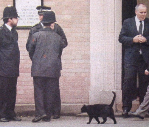 i-will-be-a-legend:During Freddie Mercury’s funeral, held on 27 november 1991, a black cat pas