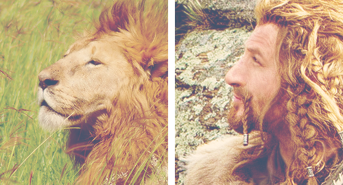lostwiginity:pidi:No? Rawr.I need to reblog THE TRUTH.